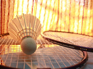 Badminton shuttlecock and raquets