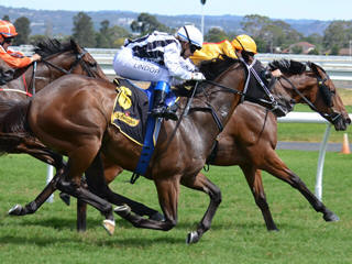 Horse racing festival
