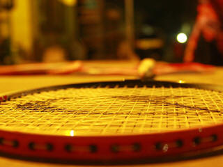 Denmark Open Badminton
