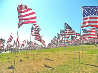 Independence Day flags